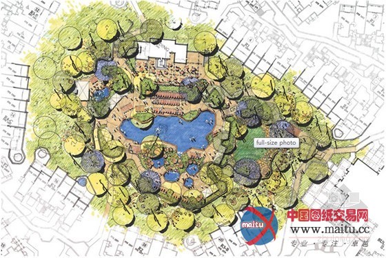 斯科茨代尔四季酒店的泳池花园