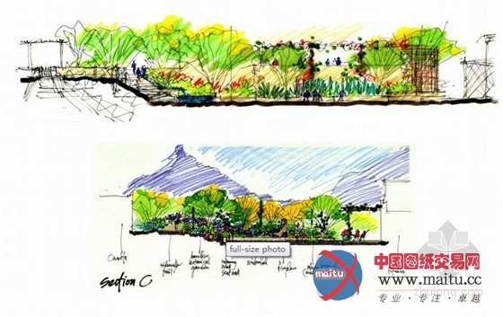 斯科茨代尔四季酒店的泳池花园