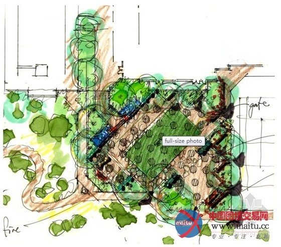 斯科茨代尔四季酒店的泳池花园