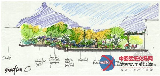 斯科茨代尔四季酒店的泳池花园