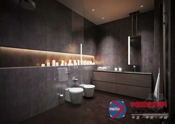 中性风质感的圣彼得堡深色调公寓设计