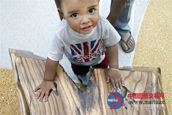 康复花园的典范:芝加哥儿童医院皇冠天空花园