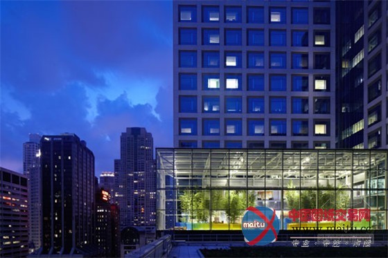 康复花园的典范:芝加哥儿童医院皇冠天空花园