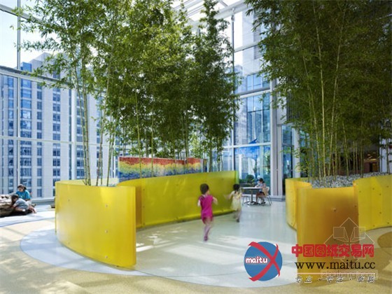 康复花园的典范:芝加哥儿童医院皇冠天空花园