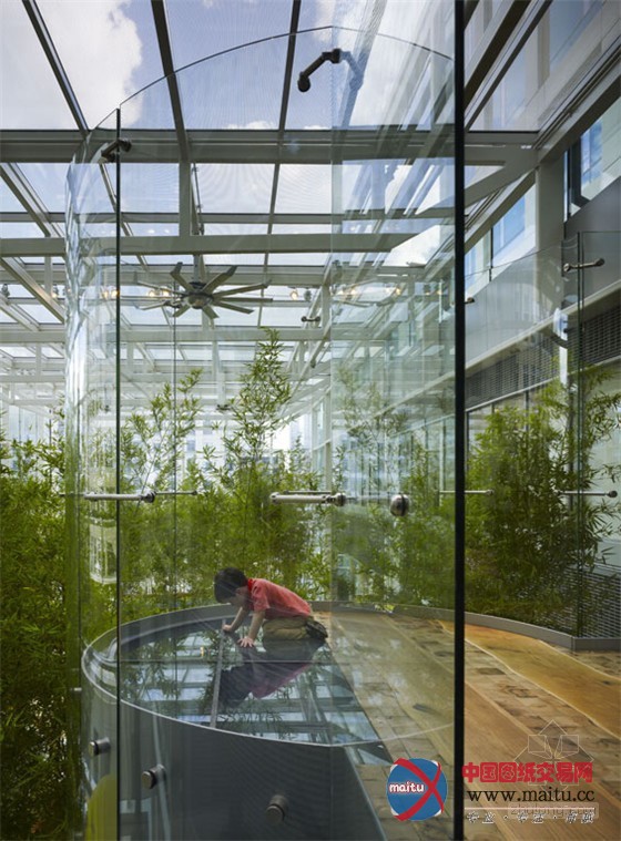 康复花园的典范:芝加哥儿童医院皇冠天空花园