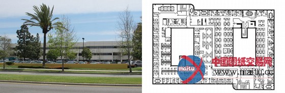 REX设计的美国概念性公司总部办公楼