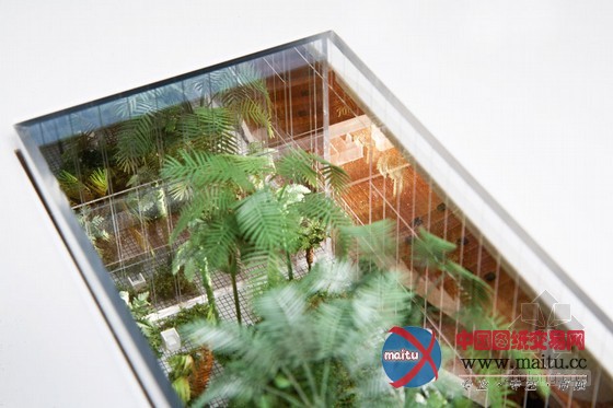 REX设计的美国概念性公司总部办公楼