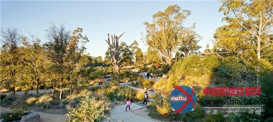 McGregor Coxall的澳大利亚悉尼Lizard Log公园