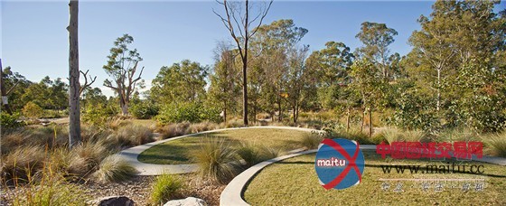 McGregor Coxall的澳大利亚悉尼Lizard Log公园