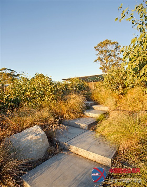 McGregor Coxall的澳大利亚悉尼Lizard Log公园