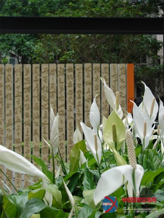 吕元祥建筑师事务所设计的中国香港百子里公园