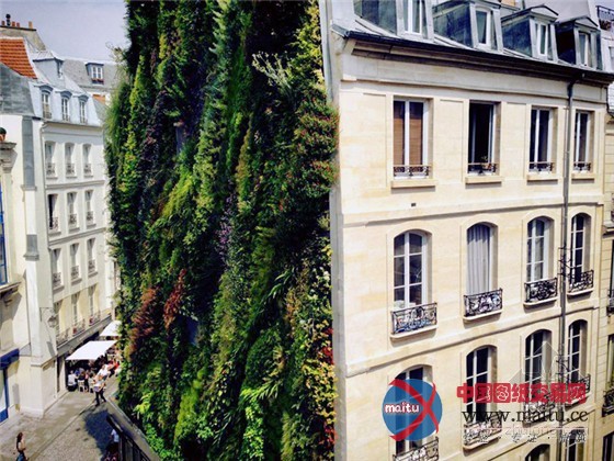 巴黎设计周推出阿布基尔的绿洲垂直花园