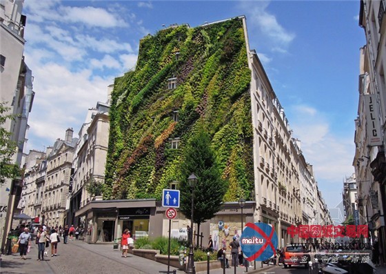 巴黎设计周推出阿布基尔的绿洲垂直花园