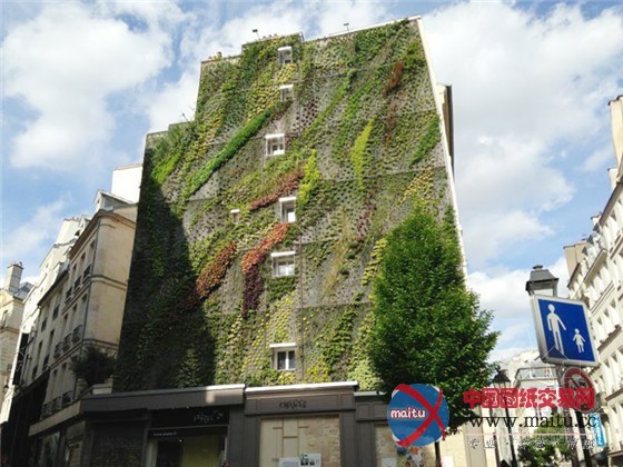 巴黎设计周推出阿布基尔的绿洲垂直花园