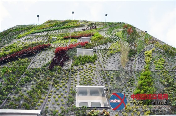 巴黎设计周推出阿布基尔的绿洲垂直花园