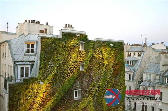 巴黎设计周推出阿布基尔的绿洲垂直花园