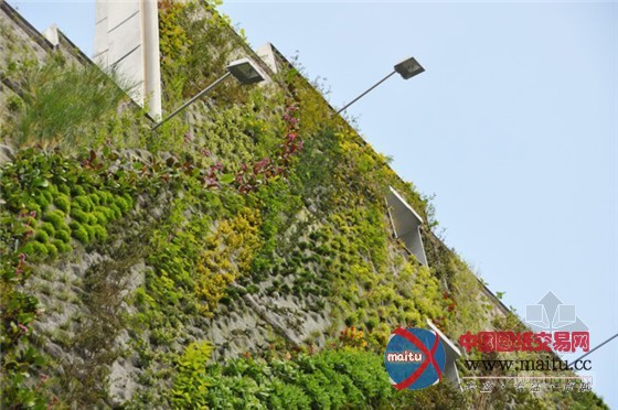 巴黎设计周推出阿布基尔的绿洲垂直花园