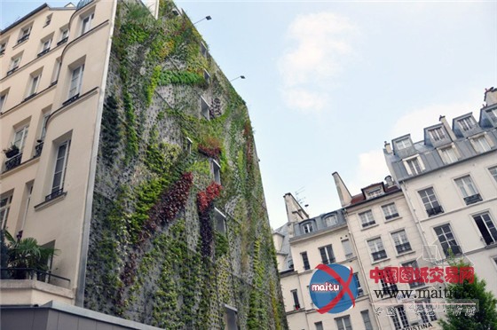 巴黎设计周推出阿布基尔的绿洲垂直花园