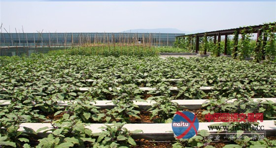 南京世界屋顶绿化大会准备好了