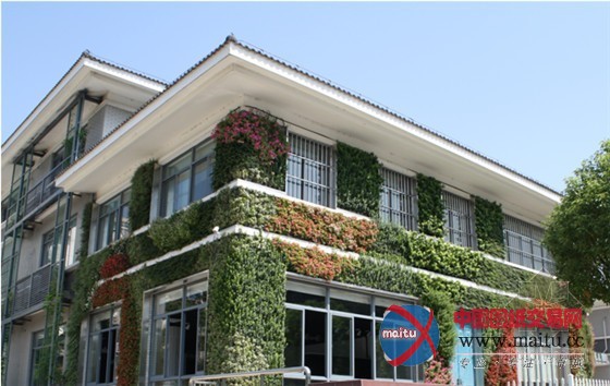 南京世界屋顶绿化大会准备好了