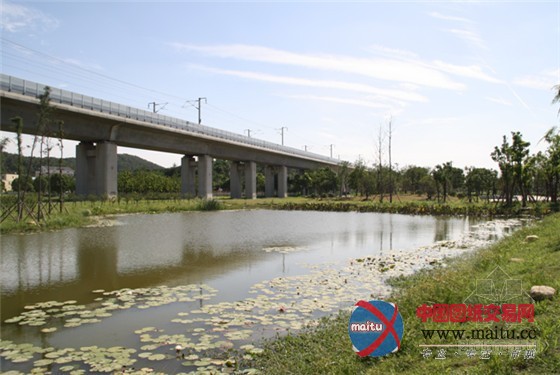 南京世界屋顶绿化大会准备好了