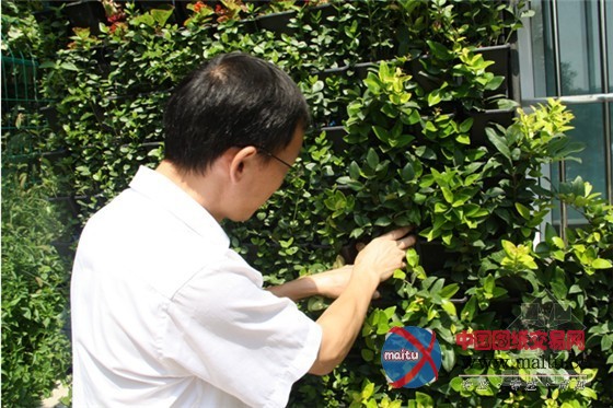 南京世界屋顶绿化大会准备好了