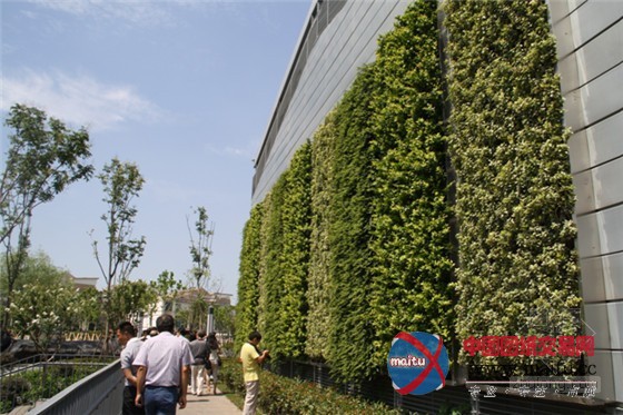 南京世界屋顶绿化大会准备好了