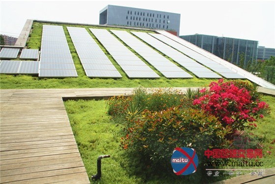 南京世界屋顶绿化大会准备好了