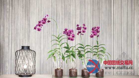 泰国普吉岛莎拉度假酒店 拥有绚丽美景独一无二地方