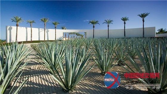 墨西哥卡波圣卢卡斯奢华度假酒店