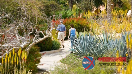 墨西哥卡波圣卢卡斯奢华度假酒店