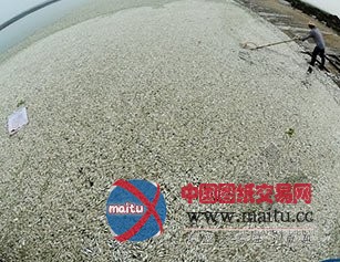 给排水设计不科学致上市公司屡成污染大户