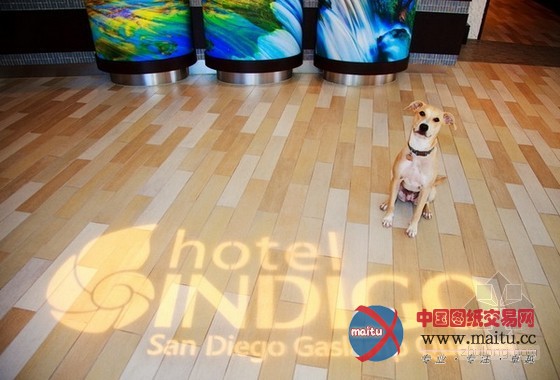 圣地亚哥英迪格酒店设计 客房别具一格