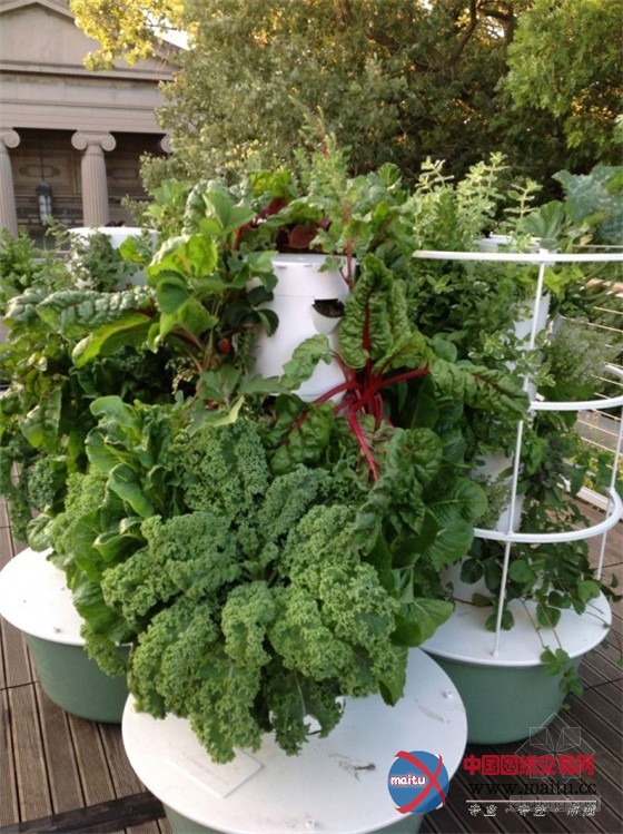 美国芝加哥科学与工业博物馆的智能家居公园