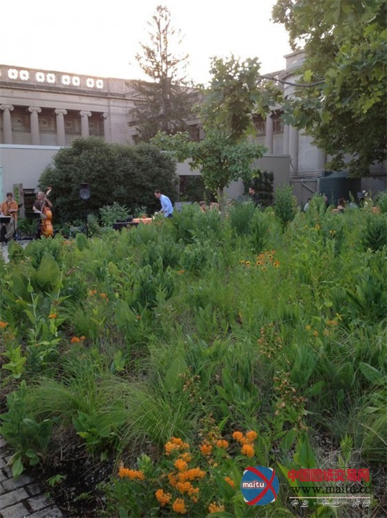 美国芝加哥科学与工业博物馆的智能家居公园