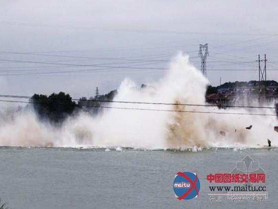 湖南永安大桥连续式定向爆破拆除成功(组图)