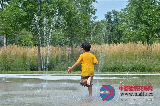 加拿大多伦多Sherbourne Common社区公园