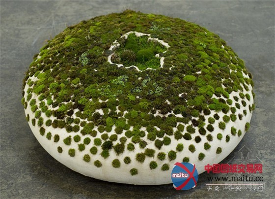 Mineo Mizun设计园艺与陶瓷的结合“生命艺术”