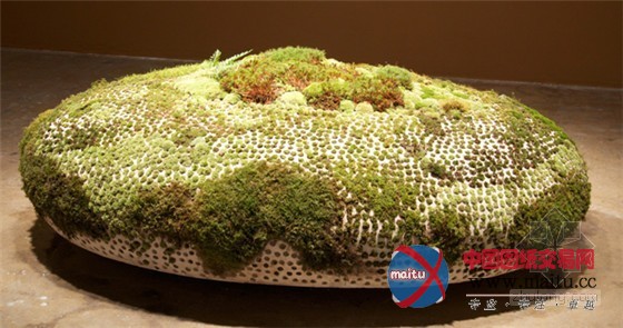 Mineo Mizun设计园艺与陶瓷的结合“生命艺术”