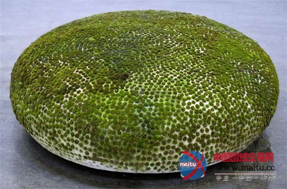 Mineo Mizun设计园艺与陶瓷的结合“生命艺术”