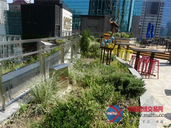 中国上海K11购物中心内的城市豆芽农场