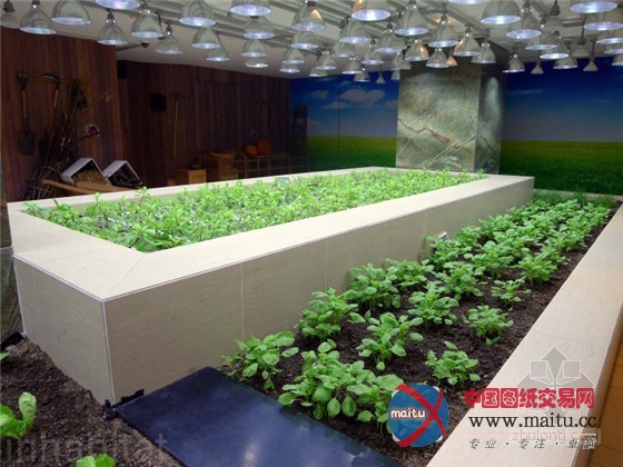 中国上海K11购物中心内的城市豆芽农场