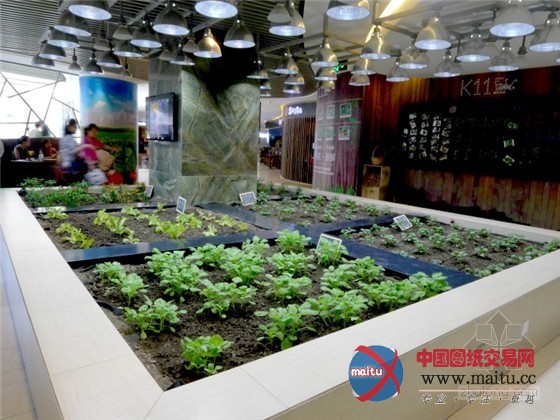 中国上海K11购物中心内的城市豆芽农场