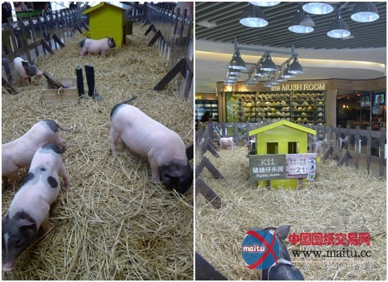 中国上海K11购物中心内的城市豆芽农场