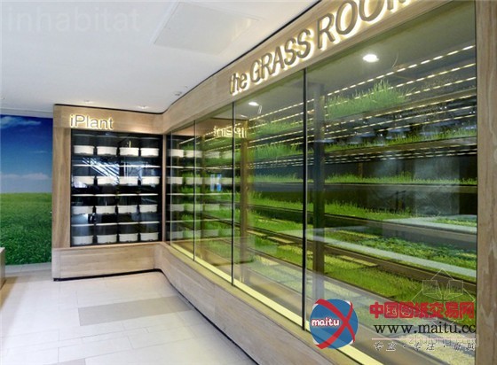 中国上海K11购物中心内的城市豆芽农场