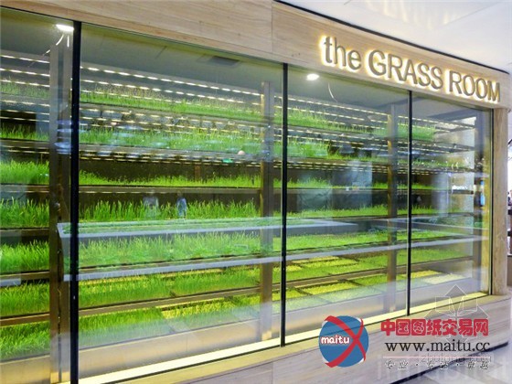 中国上海K11购物中心内的城市豆芽农场