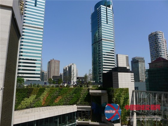 中国上海K11购物中心内的城市豆芽农场