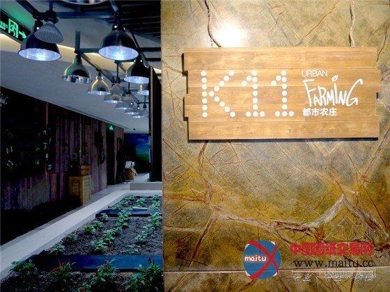 中国上海K11购物中心内的城市豆芽农场