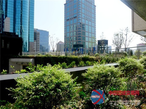 中国上海K11购物中心内的城市豆芽农场