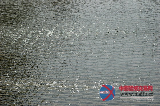 ������˹�յ���RoombeekСϪ